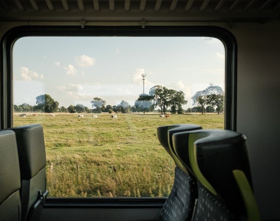 Blick aus dem Fenster eines Nahverkehrszuges auf Weiden und Baumreihen im ländlichen Raum